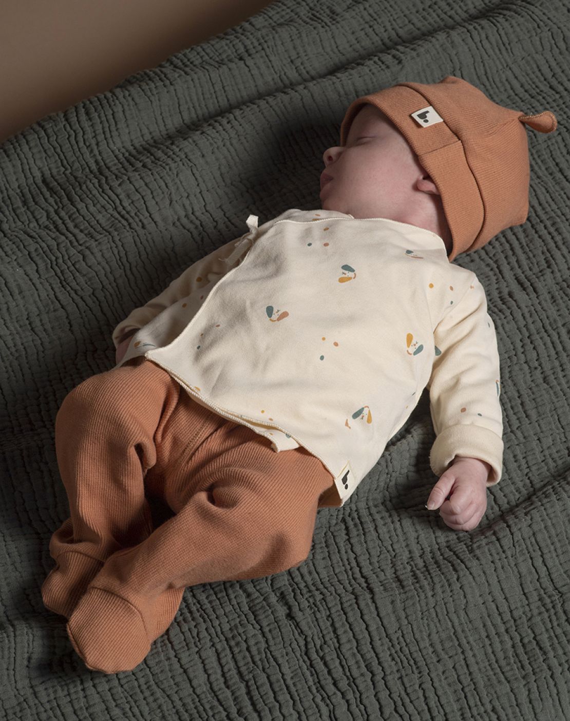 Jubón + polaina<br>DOGS