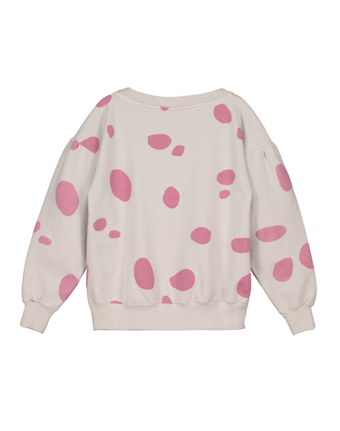 Sudadera PAINT GRAPE