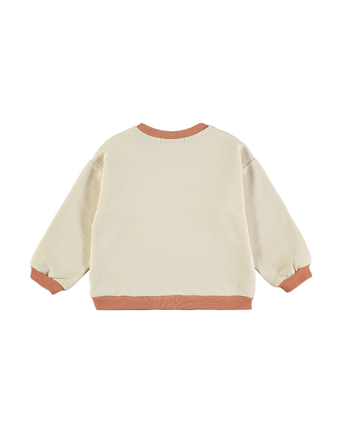 Sudadera<br>DISCOVER